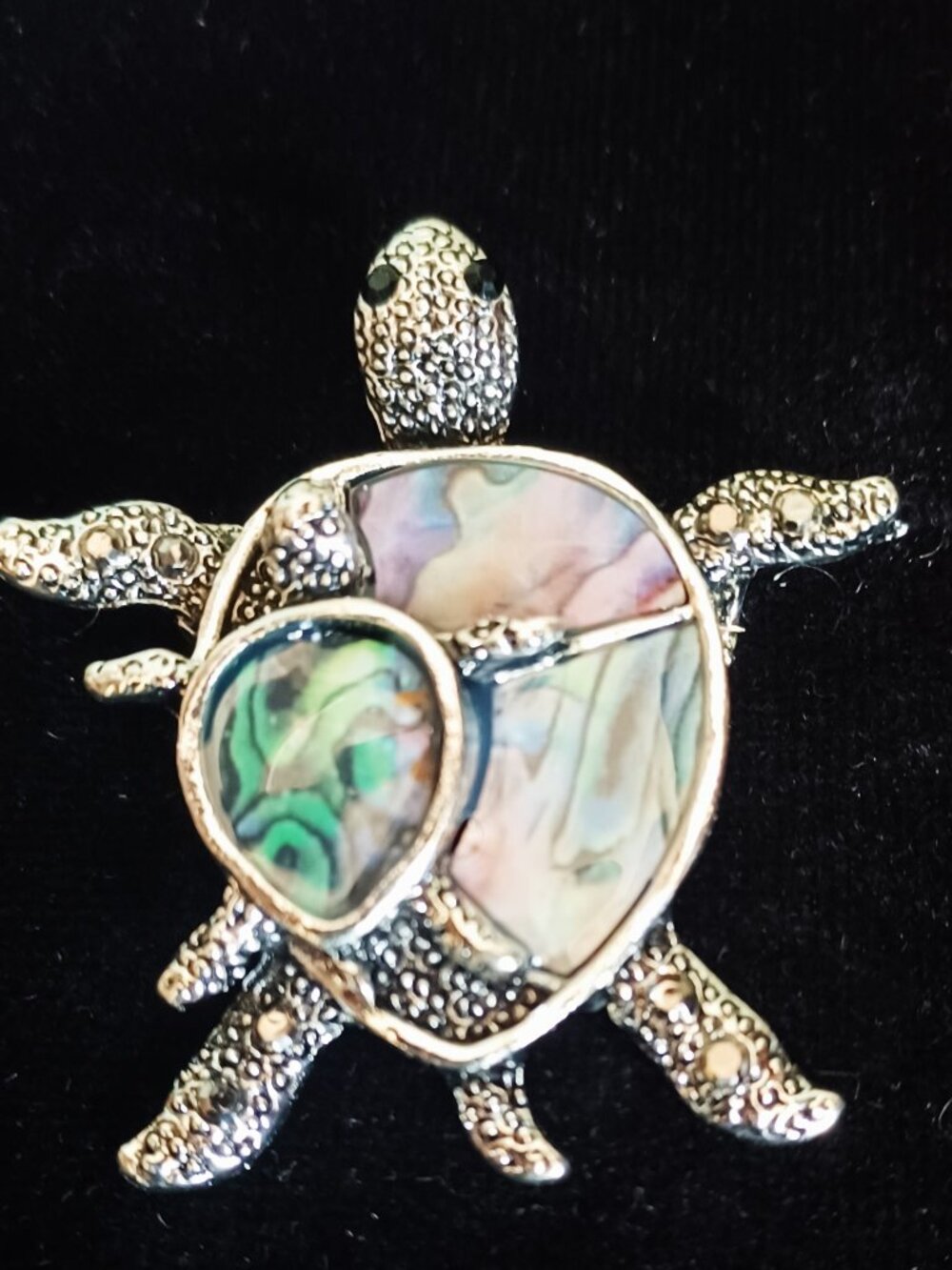 Beautiful Mom & Baby Turtle Abalone Shell Brooch